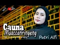 Download Lagu 🔰CAUNA MUACCANRINGENG//Cipt. H. Ancha Mahendra~Cover/Voc. Putri Alfi..