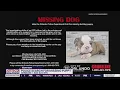 Orlando police searching for puppy stolen from Petland store