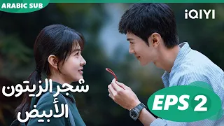 شجر الزيتون الأبيض The White Olive Tree الحلقة 2 IQIYI Arabic 