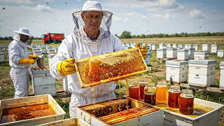 NZ Farmers Collect the MOST EXPENSIVE Honey in the World Manuka Honey