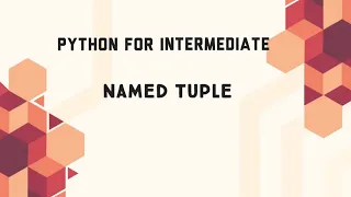 Named Tuple in Python Code Initiatives