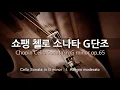 쇼팽 첼로 소나타 G단조 | Chopin Cello Sonata in G minor op.65 | 루트비히 횔셔 -첼로