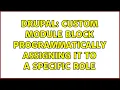 Drupal Custom module block programmatically assigning it to a specific role