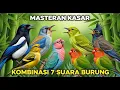 Download Lagu MASTERAN KASAR‼️ Kombinasi 7 Suara Jenis Burung Gacor Untuk Masteran \u0026 Pancingan Murai Batu