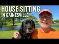 House Sitting Koda in Gainesville Florida Adventure