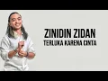 Download Lagu Zinidin Zidan - Terluka Karena Cinta ( Lirik Lagu )