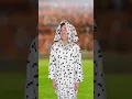 Download Lagu Every dog's dream #comedy #music #parody of We Are Never Ever Getting Back Together by Taylor Swift