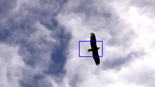Object tracking using meanShift algorithm - OpenCV