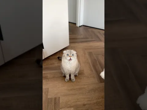 Отец и сын