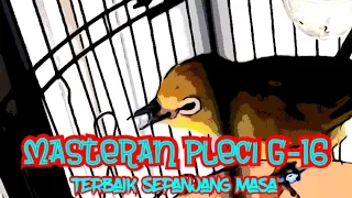 Download Pleci Tembakan G12 + G16 Super Rapat Dan Pedas Bikin Pleci Lain Jadi Ngamuk MP3