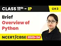 Class 11 Informatics Practices Chapter 3 Overview - Brief Overview of Python Code 065