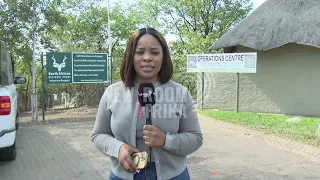 couple killed at kruger national park