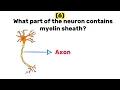 10 quiz questions on Nervous system Neuron 1