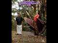 Download Lagu 💞Va Va Va Va Kanna Va 💞What's App Status 💞Divya Editz 💞