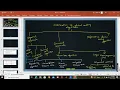 Hierarchical topdown bottomup - pseudo code