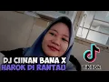 DJ minang CIINAN BANA  [ FAUZANA  ] Terbaru YUDHA FVNKY