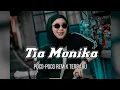 Download Lagu TIA MONIKA - Lagu Acara Poco Poco Remix Terbaru ( Arjhun Kantiper) Taladiva Sound ✅