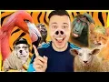Download Lagu YouTubers ALS DIEREN RADEN!