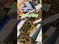 How much Money does a Multi Million Dollar Bitcoin Mining Facility Make