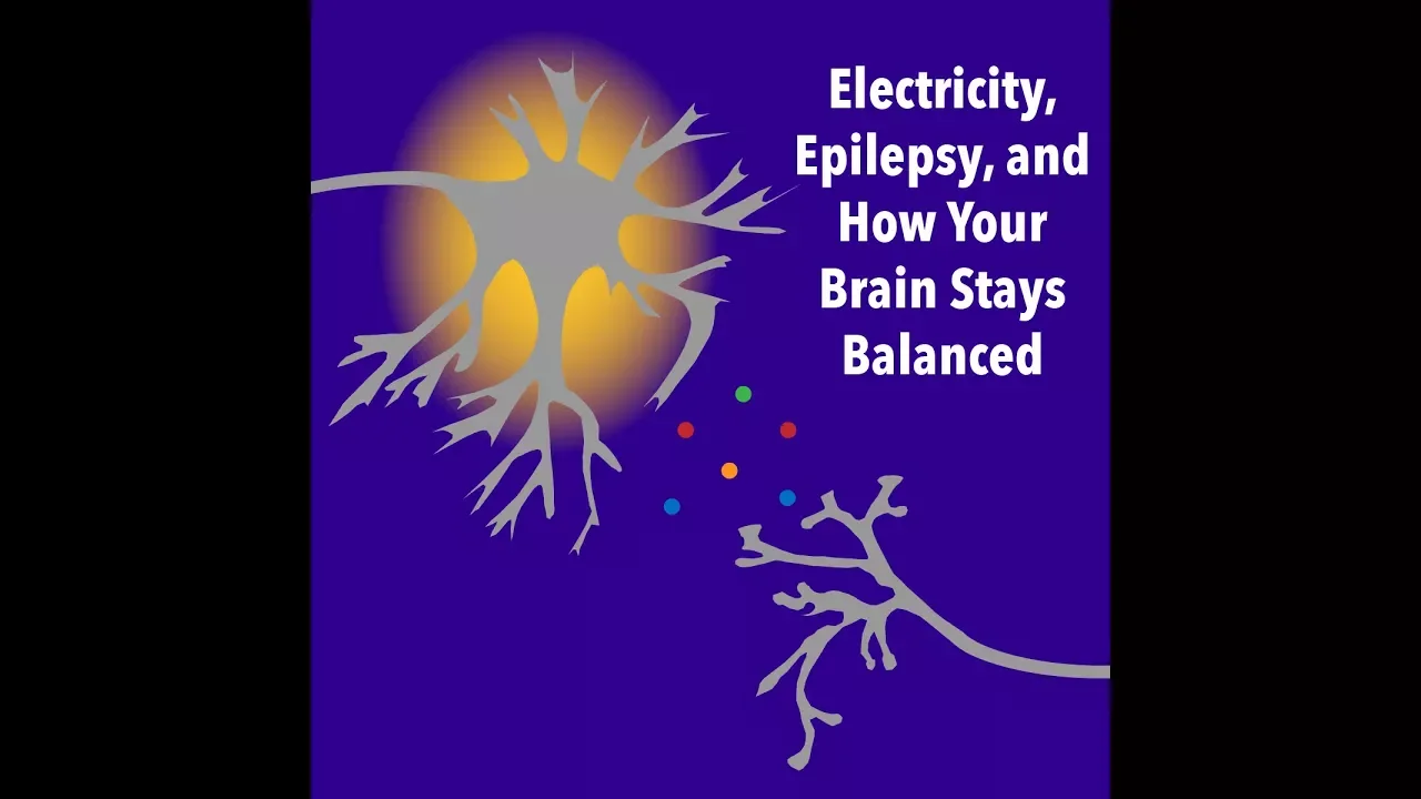Electricity, Epilepsy, and How Your Brain Stays Balanced
