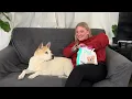 Oravet Dental Chews for Dogs From Amazon Mom s Review