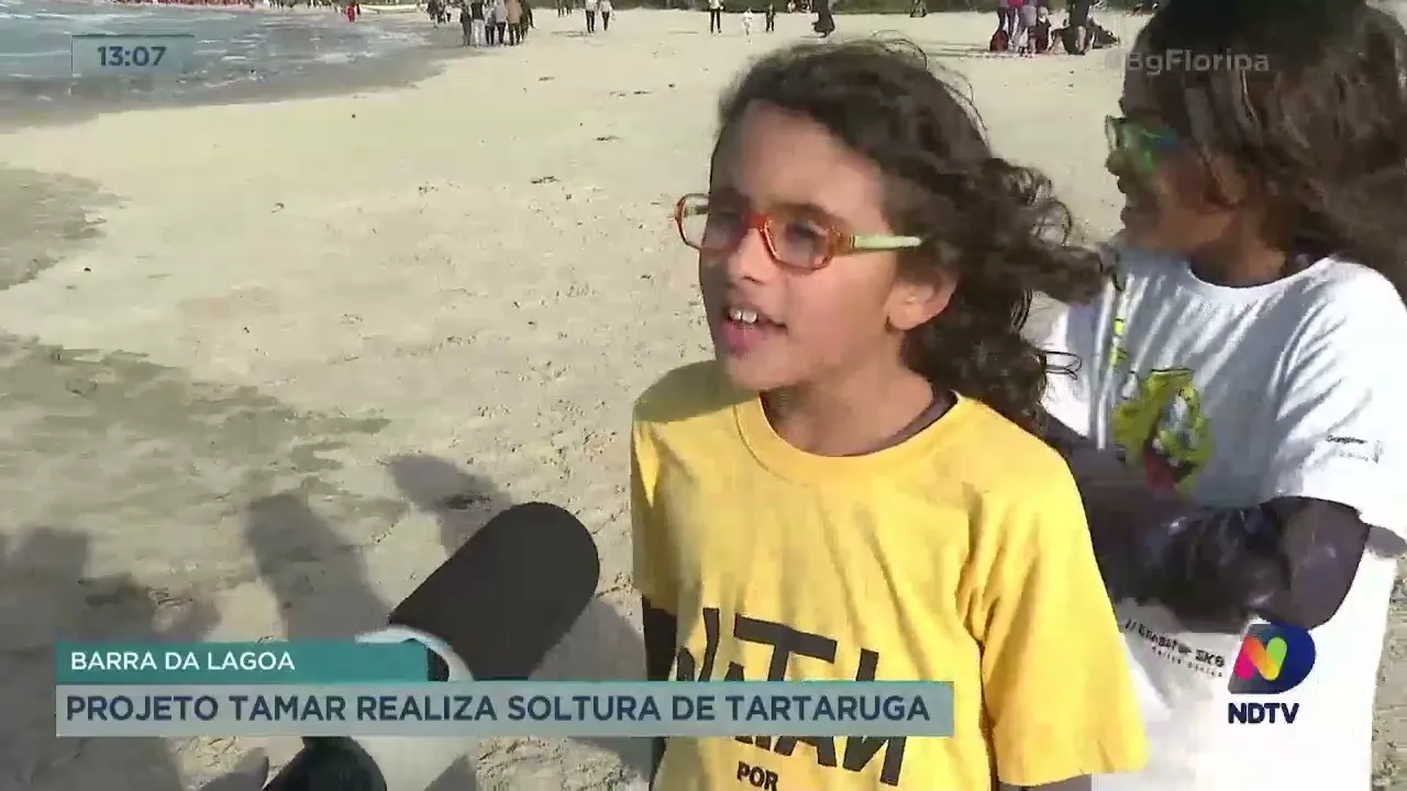 Barra da Lagoa: projeto Tamar realiza soltura de tartaruga