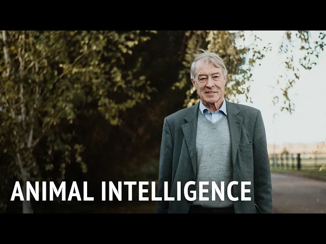 Animal Intelligence | Prof. Donald Broom