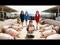 Download Lagu 所有人嫌養豬女人臟不讓她靠近，殊不知她是商界大佬，三個首富女兒打臉全場勢利眼！#短劇 #逆襲 #萌娃 #親情