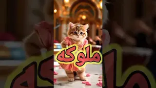 اغنية ملوكة الفيديو كامل على القناة اغنية باسم ملوكه اووو ملوكا اغنية ملوكة القمر ملك مليكة مليكه 