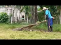 WE ARE CUTTING THIS OVERGROWN GRASS AND WEEDS / WE ARE JUST HIRED TO CUT THE GRASS AND WEEDS ONLY