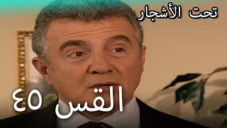 مسلسل سنوات الضياع الحلقة 45 مدبلج Ihlamurlar Altında 