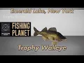 Trophy Walleye Emerald Lake New York Fishing Planet Guide