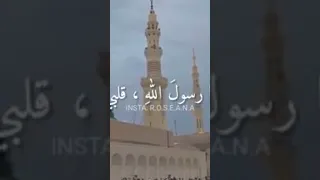 في حب في وجد احمد النفيس 
