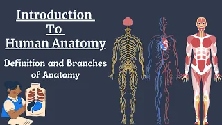 Anatomy Definition and Branches of Anatomy General Anatomy