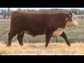 Lot 9 H5 1147 Advance 432