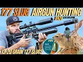 Download Lagu AIR GUN HUNTING WITH HN 177 SLUGS I LONG RANGE AIR GUN HUNTING WITH 177 SLUGS I HN 177 SLUG HUNTING