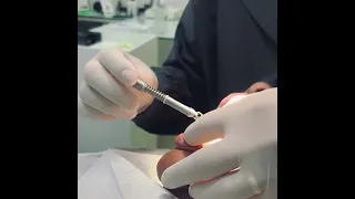                     دندنها