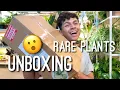 The Green Escape Rare Houseplant Unboxing Etsy Plant Store