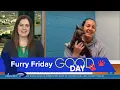 Fur Friday Wood County Humane Society Your Day - April 29