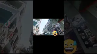 العين فلقه الحجر 