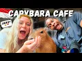 Download Lagu Jakarta Has A CAPYBARA CAFE!? - Are We In TOKYO or INDONESIA?! 🤯 🇮🇩