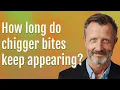 How long do chigger bites keep appearing