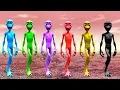 Download Lagu Tenge Tenge full Video Hd |Tenge Tenge Legandary Official Music Video 2025 #tengetenge