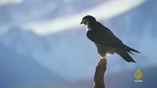 ملاذ على جبال البرانس على خطى الرباح 