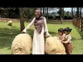 Download Lagu NAYNIN MAIN BERSAMA APLACA DAN DOMBA