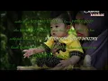 Download Lagu Lintang ati,mundor alon alon,kartonyono medot janji,demi kowe,pamer bojo,sebatas teman