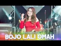 Download Lagu Indri Ananda - Bojo Lali Omah (Official Music Video) | OM. LAGISTA