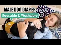 Reusable Dog Belly Band A Lifesaver for You and Your Furbaby
