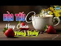 Download Lagu 25/06 Mở Nhạc Không Lời Buổi Sáng HAY CHƯA TỪNG THẤY ~ Hòa Tấu Guitar Rumba Nhạc Phòng Trà,Cafe Sáng