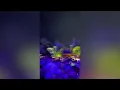 dirty cash ( money talks ) - pawsa & the adventures of stevie v ( slowed perfectly ) 